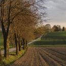 Wenn die Sonne untergeht