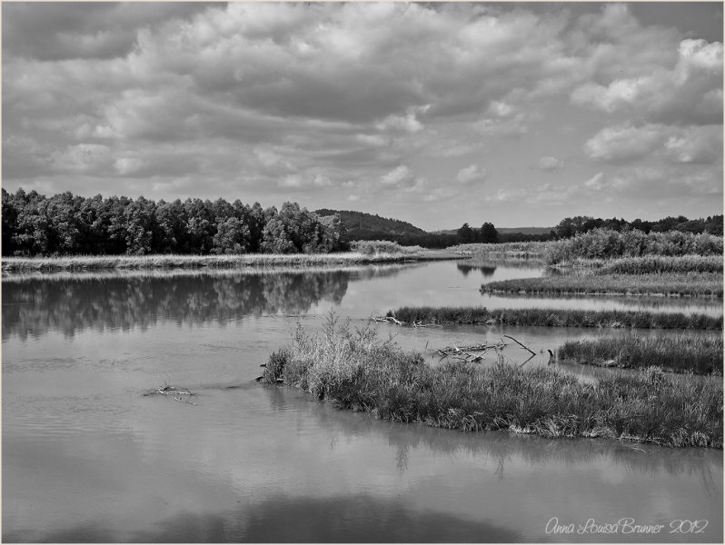 Auenlandschaft