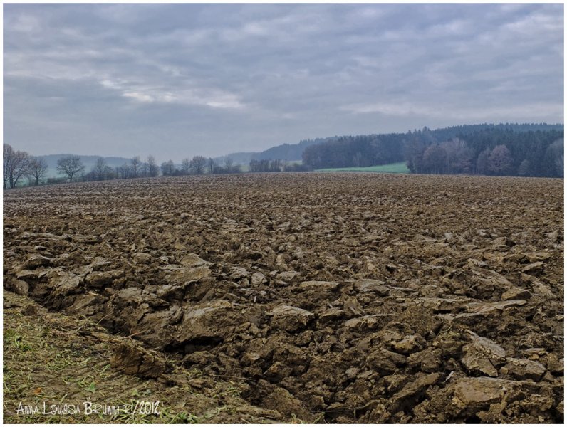 Winterruhe Winterruhe