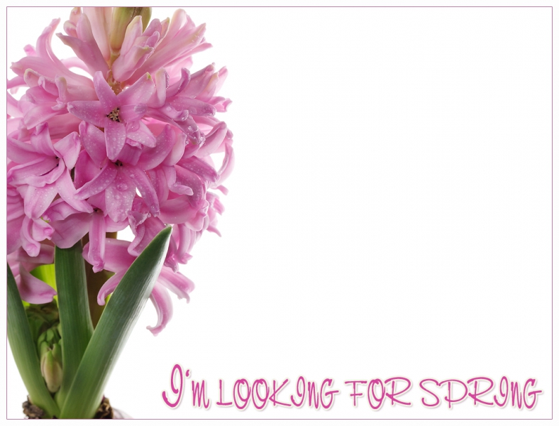 to be looking for to be looking for
