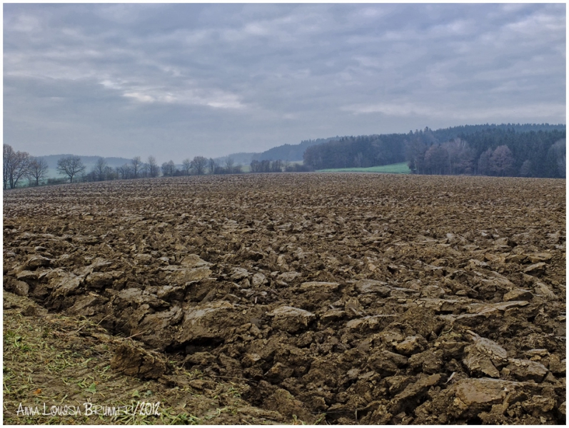 Winterruhe Winterruhe