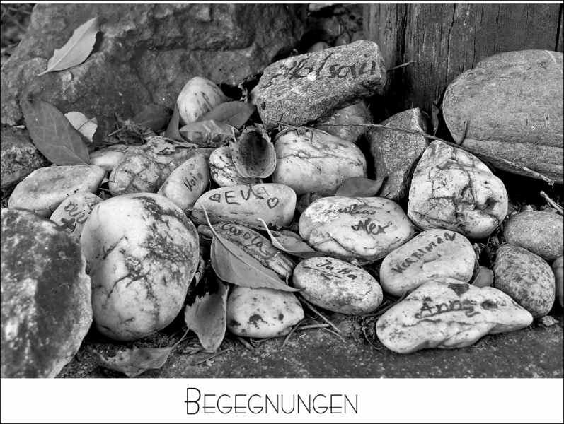 Begegnungen Begegnungen