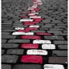 followme