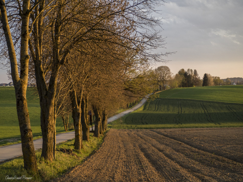 Wenn die Sonne untergeht