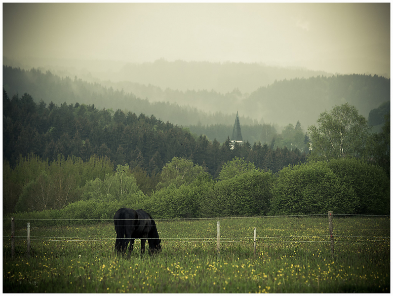 © 2010 by AnnaLouisa Brunner · All Rights Reserved