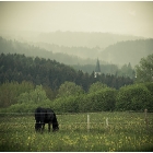 © 2010 by AnnaLouisa Brunner · All Rights Reserved