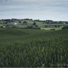 Breitengern