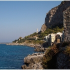 the lighthouse