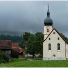 Wiesing