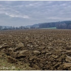 Winterruhe