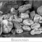Begegnungen