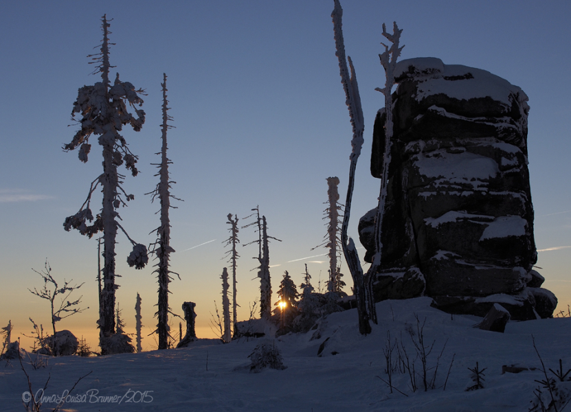 Dreisessel/Winter 2015