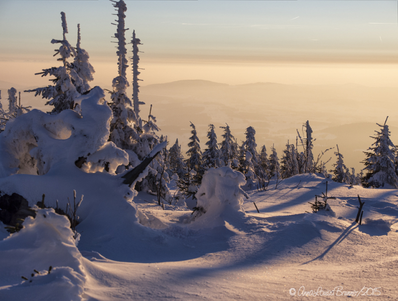 Dreisessel/Winter 2015