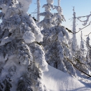 Dreisessel/Winter 2015