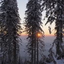 Dreisessel/Winter 2015