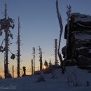 Dreisessel/Winter 2015