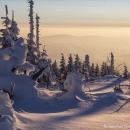 Dreisessel/Winter 2015