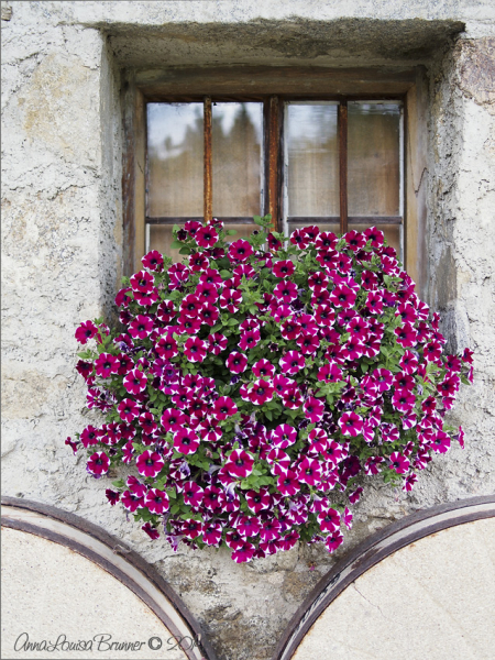Blumenschmuck